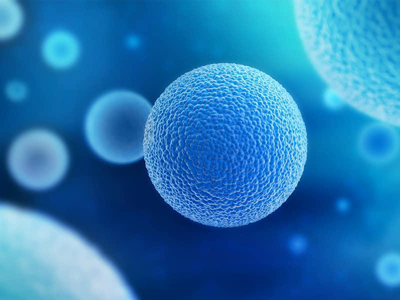 A close-up, digital illustration of blue spherical cells with textured surfaces, floating against a blurred blue background, representing cells under a microscope.