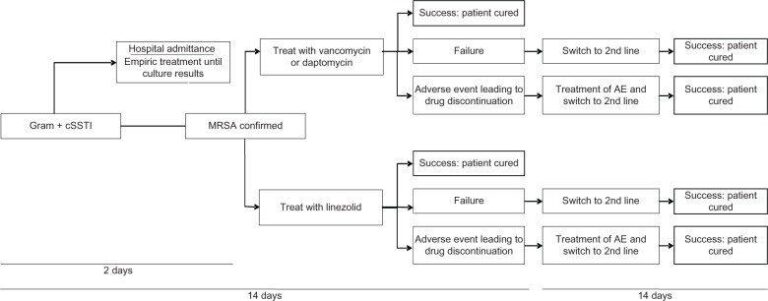 Flowchart of MRSA cSSTI treatment pathways showing decisions for vancomycin, daptomycin, or linezolid use, with outcomes: success, failure, or adverse events, followed by switching to second-line treatments.