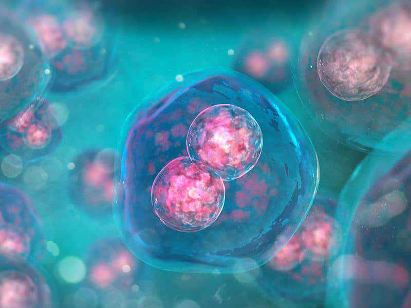 Humanistic burden of disease for patients with advanced melanoma
