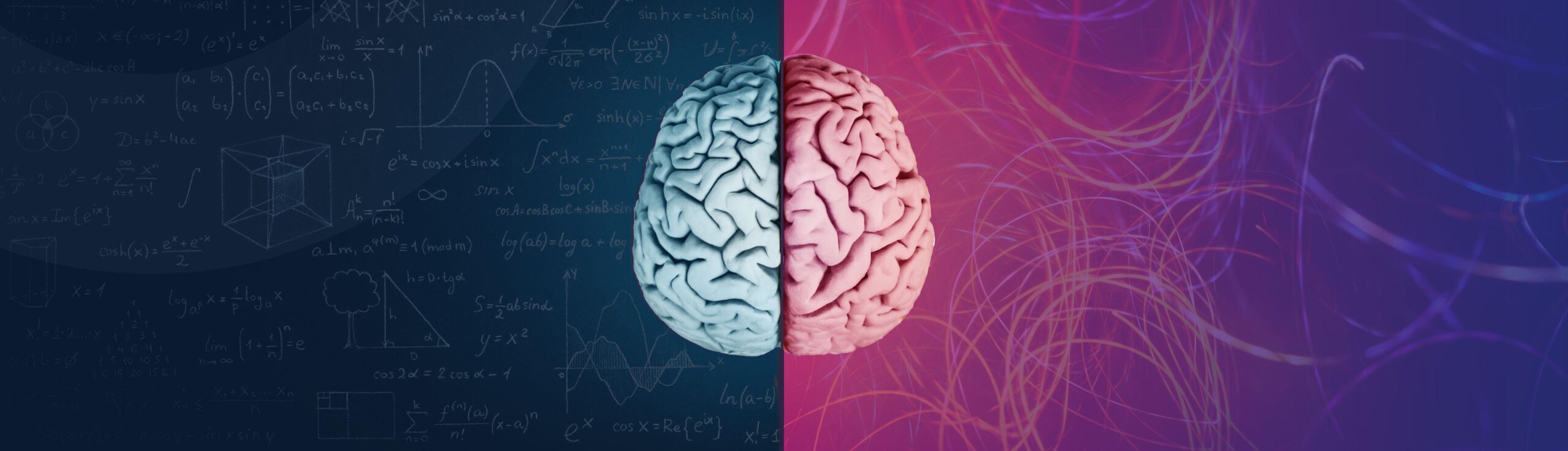 A brain is split in half; the left side is blue with maths and science formulae, while the right side is pink with abstract, wavy lines on a purple background, representing logic versus creativity.