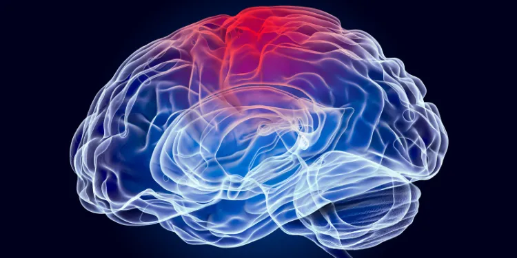 A digital illustration of a transparent human brain with a red highlight at the top, suggesting inflammation or activity, against a dark background.