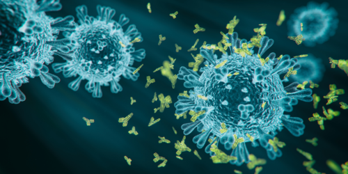 Digital illustration of viruses being surrounded and targeted by yellow antibodies, representing an immune response at the microscopic level. The background is dark teal, emphasising the contrast between antibodies and viruses.