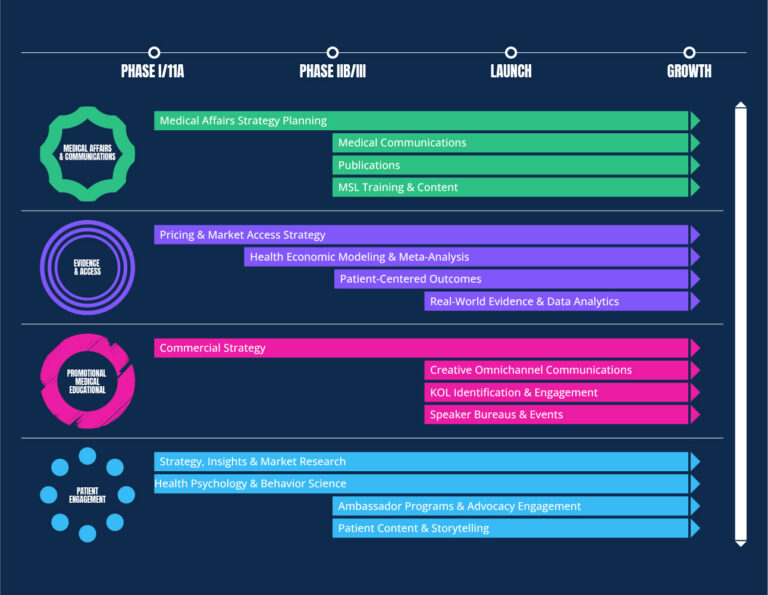 A timeline displays phases of medical affairs, pricing, promotion, and patient engagement strategies and their growth, shown as horizontal coloured bars under each phase.