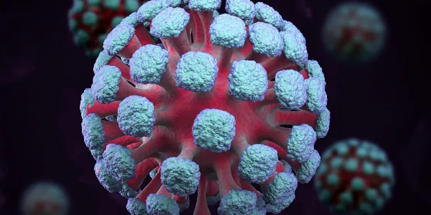 A close-up, 3D-rendered illustration of a virus particle, featuring a spherical shape with protruding spike proteins and a textured surface, set against a dark background.