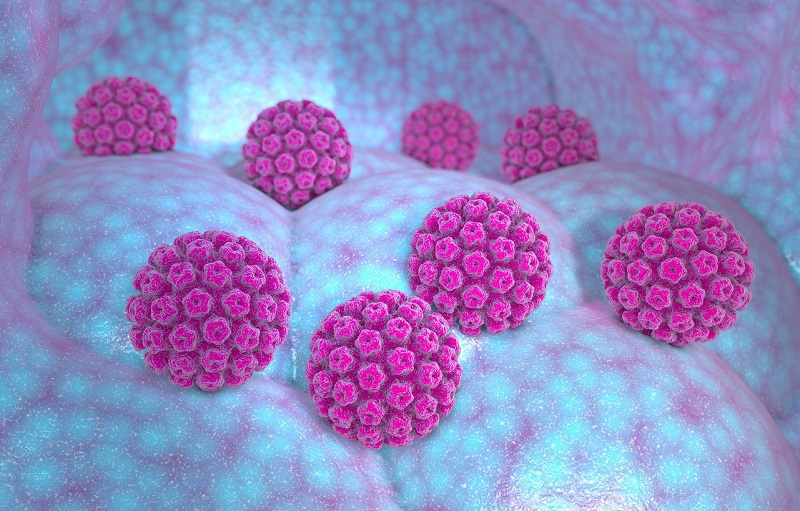 3D illustration of several pink, spherical virus particles with textured surfaces on a shiny blue and purple background, representing a microscopic scene.