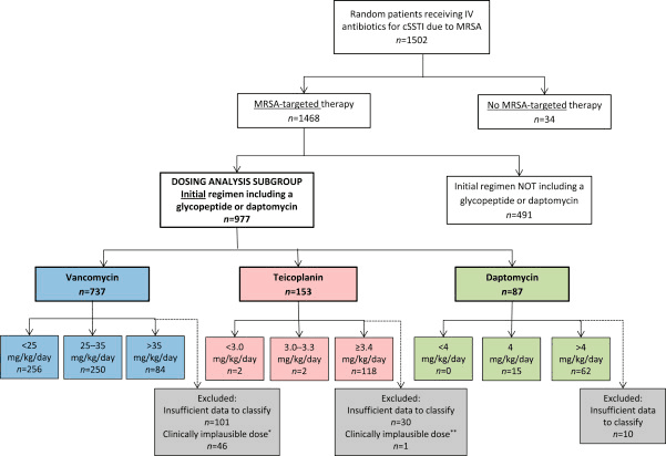 A flowchart showing classification of patients on IV antibiotics for SSTI, dividing into MRSA-targeted and non-targeted therapy, and further by drug (Vancomycin, Teicoplanin, Daptomycin) with dose categories and exclusions.
