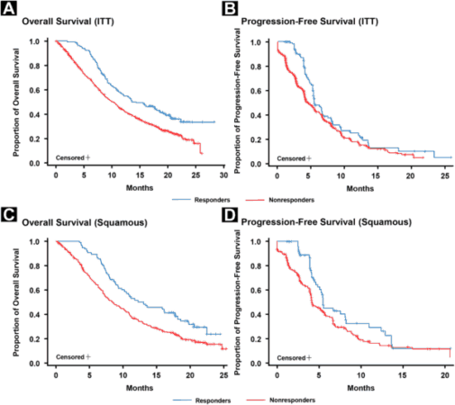 Four Kaplan-Meier survival curves compare responders (blue) and non-responders (red) for overall and progression-free survival in ITT and squamous groups, with months on the x-axis and survival proportion on the y-axis.