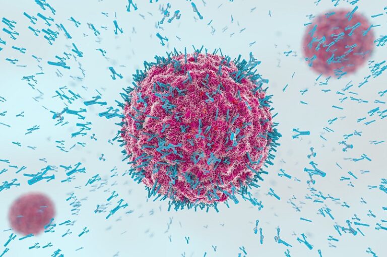A close-up, digital illustration of a virus particle covered in blue antibodies, with more antibodies interacting around it on a light background.