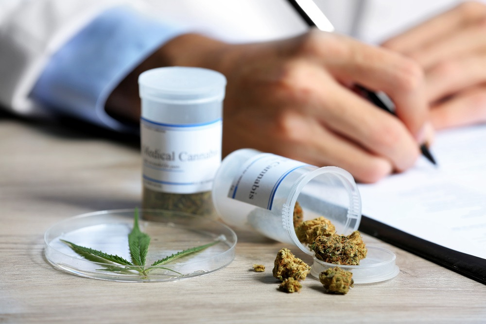A person writes on paper near containers labelled medical cannabis, cannabis buds, and a cannabis leaf on a petri dish, suggesting a clinical or research setting.