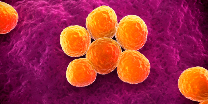A cluster of orange, spherical cells is shown against a textured, purple background, resembling a microscopic or biological scene.