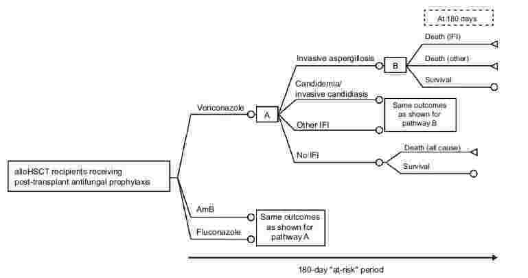 Flowchart showing post-transplant antifungal prophylaxis outcomes in alloHSCT recipients, detailing pathways for different drugs, infection types, survival, and death outcomes at 180 days.