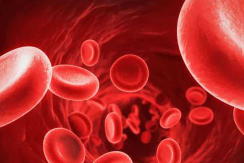 Red blood cells flowing through a blood vessel, shown in a close-up, microscopic view with a red background.