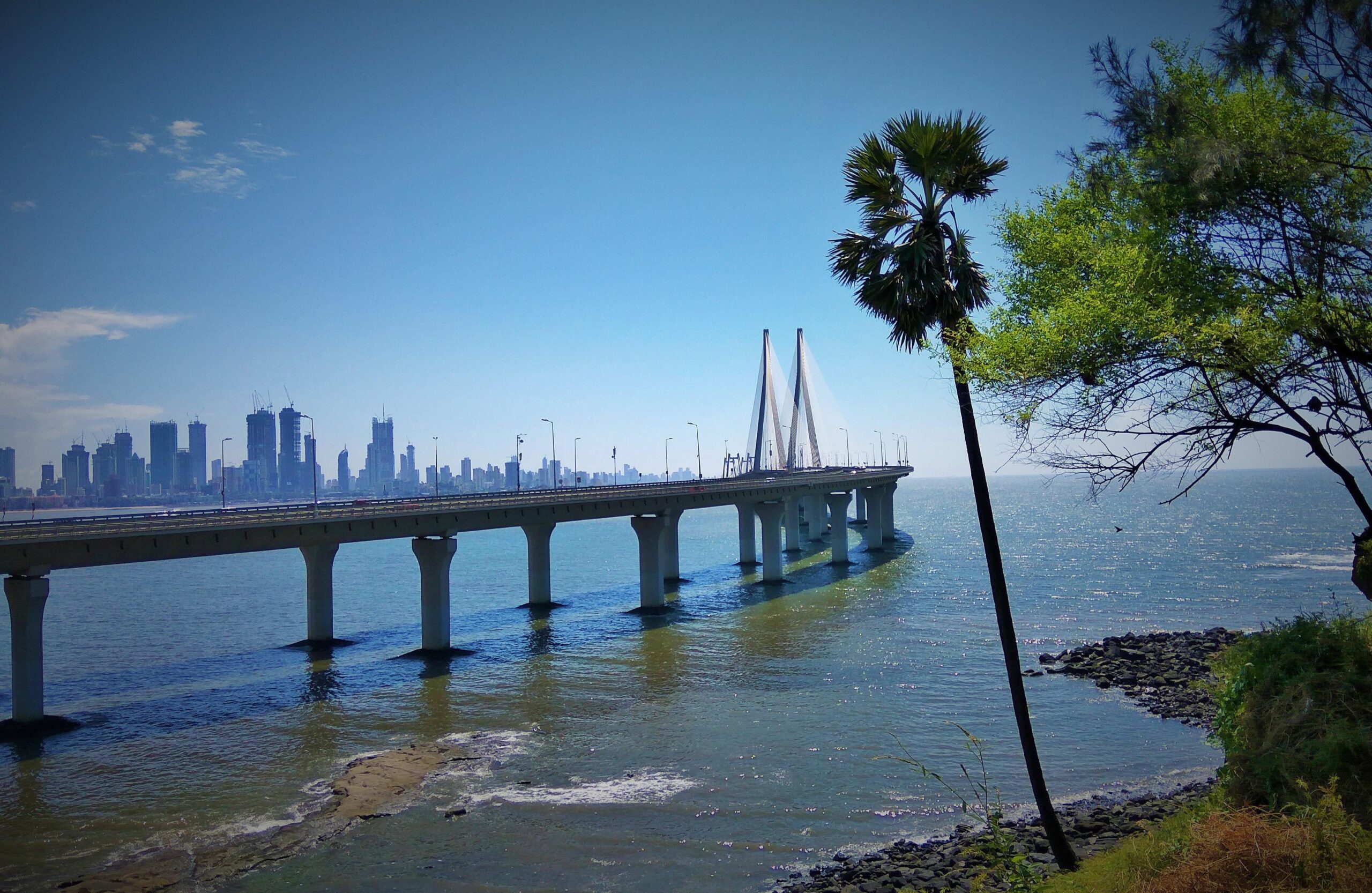 A cable-stayed bridge extends over water toward a city skyline with skyscrapers. Trees and greenery frame the right side of the image under a clear blue sky.