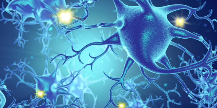 Digital illustration of blue neurones with branching dendrites and glowing synapses, representing neural activity in the brain.