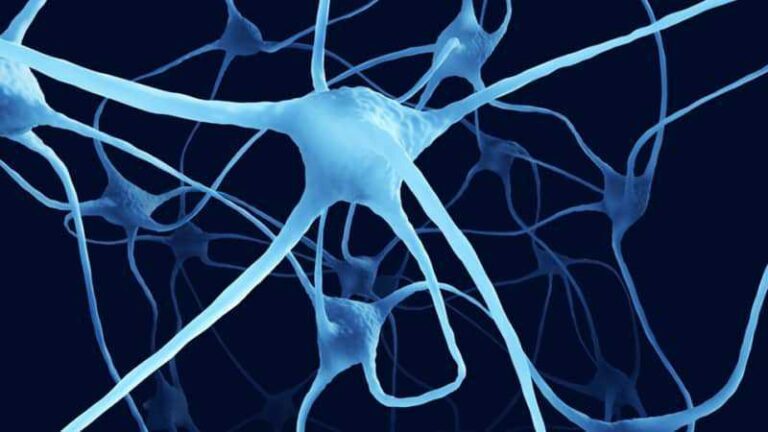 Blue, web-like neural cells with branching extensions are shown on a dark background, representing a network of neurones commonly seen in scientific illustrations of the brain or nervous system.