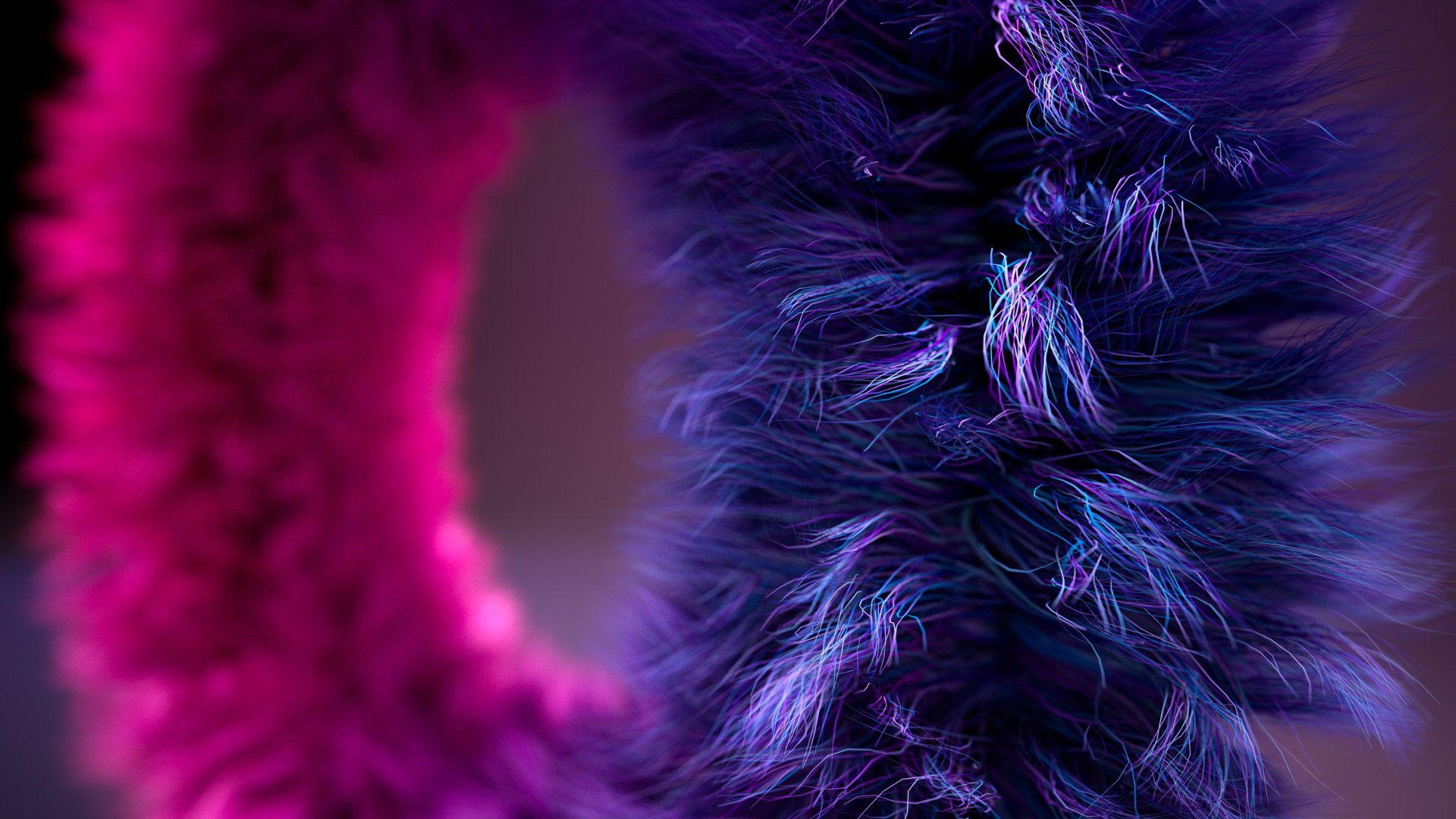 Close-up of two fuzzy, fur-covered objects, one pink and one purple, with soft lighting and a blurred background. The textures are highly detailed, showing individual strands of hair.