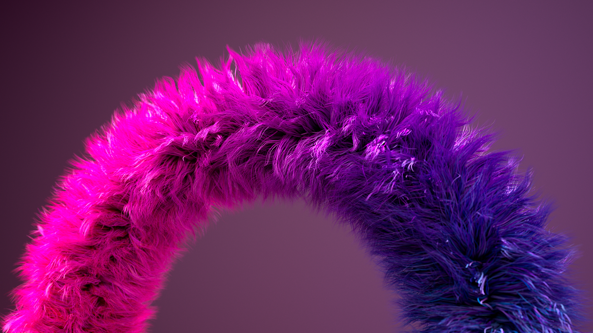 A curved, fluffy, fur-like arch transitions from bright pink on the left to deep purple on the right, set against a soft, gradient purple background.