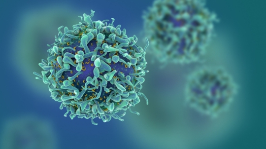 A 3D-rendered close-up of blue and green spherical cells with protrusions, floating on a blurred teal background, representing microscopic biological or immune cells.