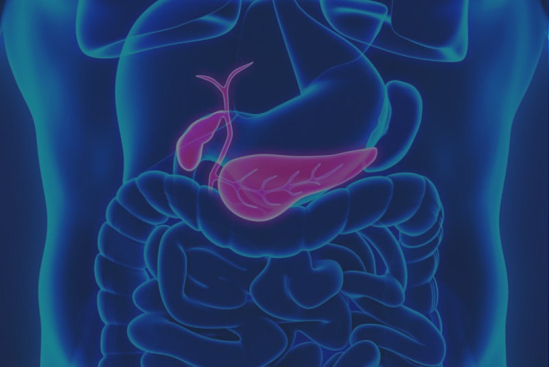 Medical illustration showing the human digestive system, highlighting the stomach, pancreas, and gall bladder in pink against a blue background.