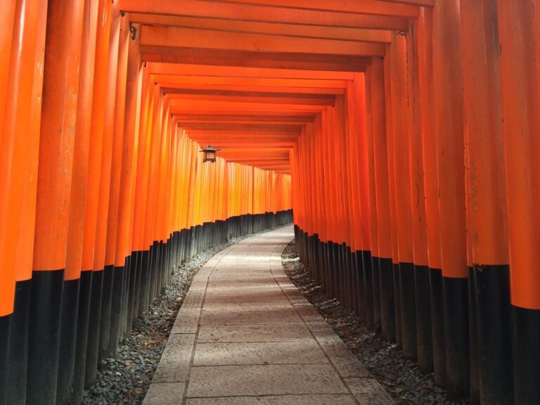A path curves through rows of vibrant orange torii gates at Fushimi Inari Shrine in Kyoto, Japan, with sunlight casting shadows across the stone footpath.