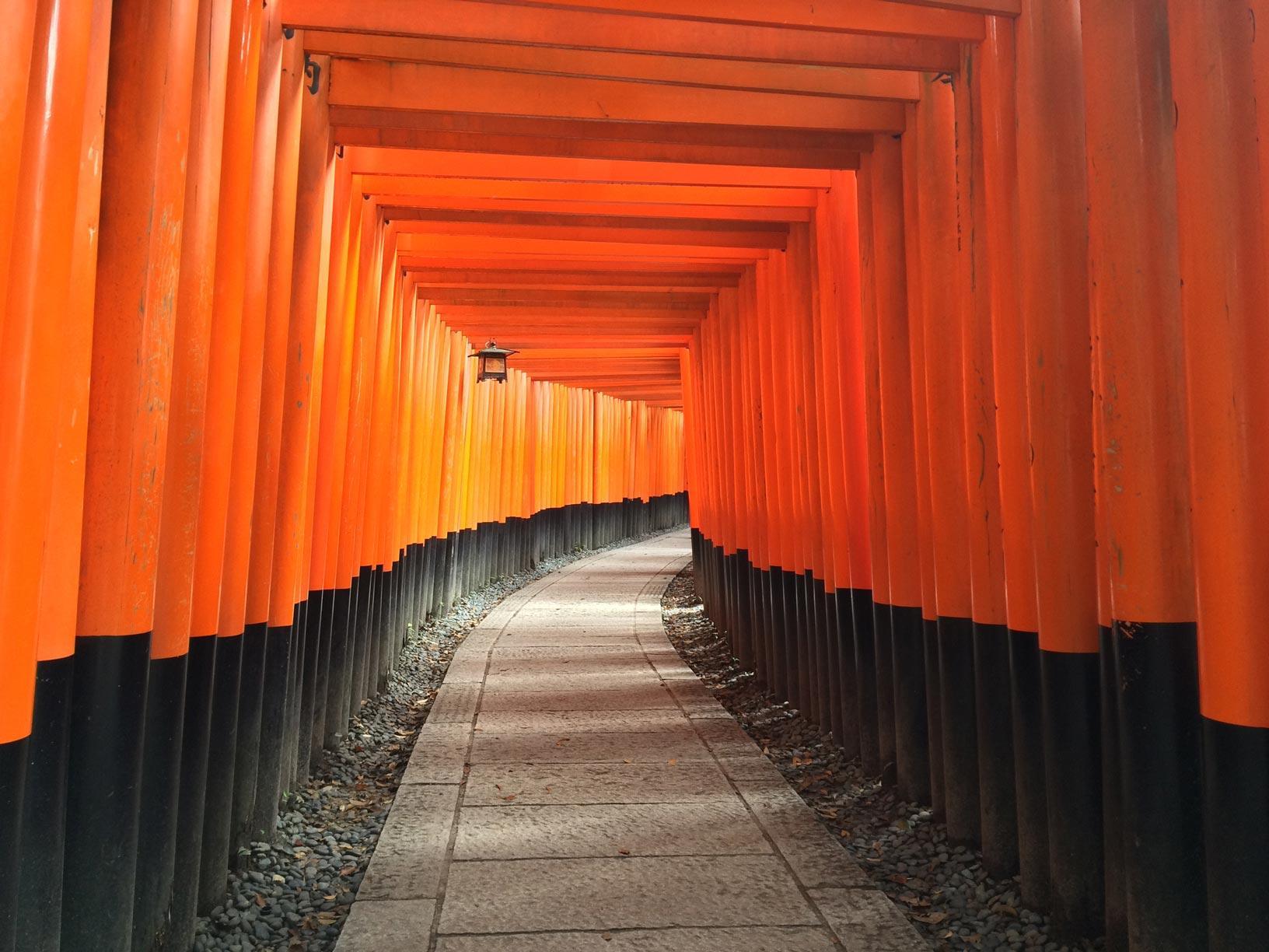 A path curves through rows of vibrant orange torii gates at Fushimi Inari Shrine in Kyoto, Japan, with sunlight casting shadows across the stone footpath.