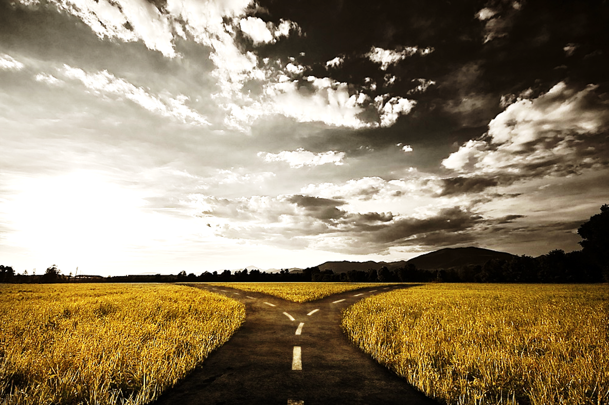 A paved road splits into two paths through a golden field under a dramatic, cloudy sky with the sun setting near the horizon and a distant mountain in the background.