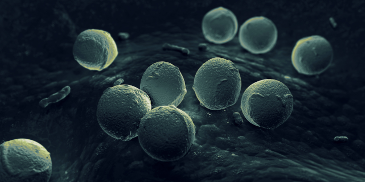 Microscopic view of spherical cells or bacteria clustered together on a textured surface, rendered in green and black tones.