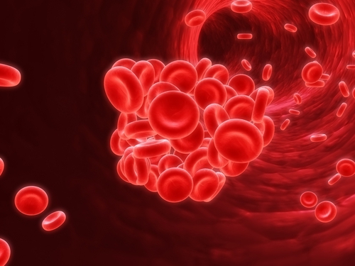 A digital illustration of red blood cells clumping together, forming a blood clot inside a blood vessel, with individual red blood cells visible around the clot.