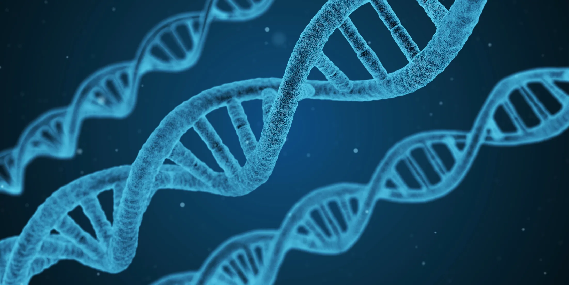 Digital illustration of blue DNA double helix strands on a dark blue background, representing genetics or molecular biology, with small light particles scattered throughout.