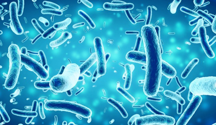 Blue rod-shaped bacteria floating on a glowing, blurred blue background, representing microscopic micro-organisms.