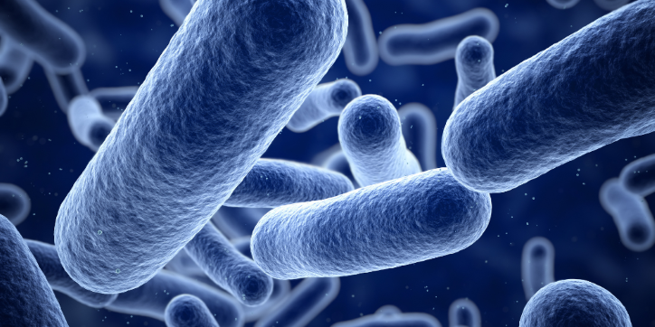 Close-up view of several blue rod-shaped bacteria floating against a dark, blurred background, illustrating microscopic organisms.