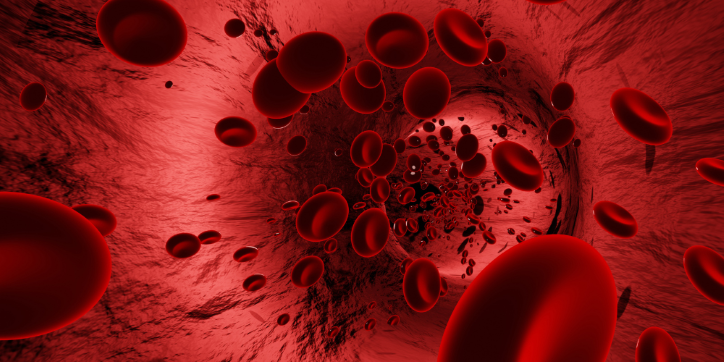 Illustration of red blood cells flowing through a blood vessel, shown in varying sizes and surrounded by textured, red vessel walls, representing circulation within the human body.