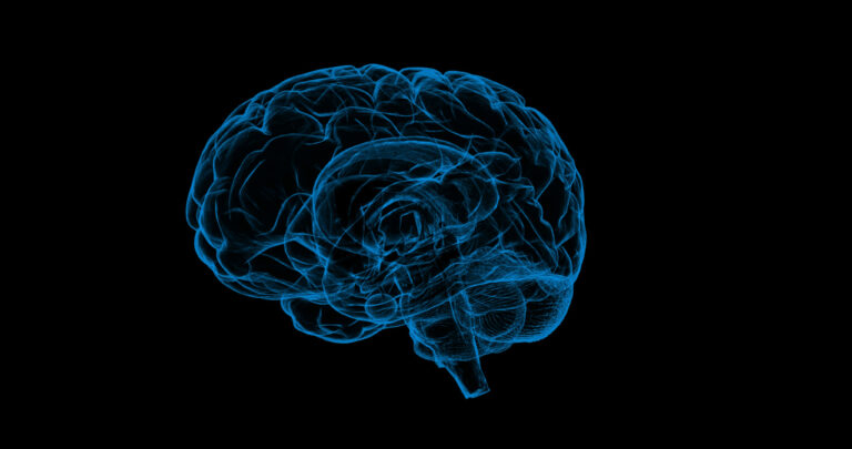 Blue, semi-transparent digital illustration of a human brain in profile view, showing internal brain structures against a black background.