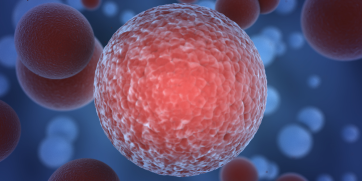 A close-up illustration of a red biological cell with a textured surface, surrounded by several other out-of-focus cells on a blue background.
