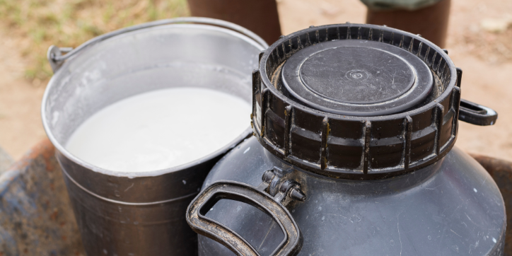 A metal bucket filled with milk sits next to a large black plastic bin with a secure lid, both outdoors on a rough surface.
