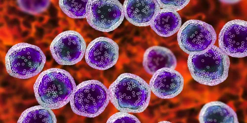 Microscopic view of purple cells with dotted structures inside, floating against a red and orange background.