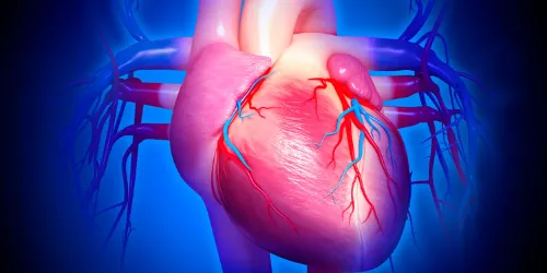 Illustration of a human heart with visible arteries and veins, shown in shades of pink and red, against a blue background, highlighting the circulatory system.