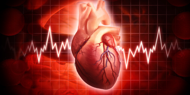 A realistic human heart illustration is shown with highlighted arteries, set against a red background featuring an electrocardiogram (ECG) line, symbolising heart health and cardiovascular activity.
