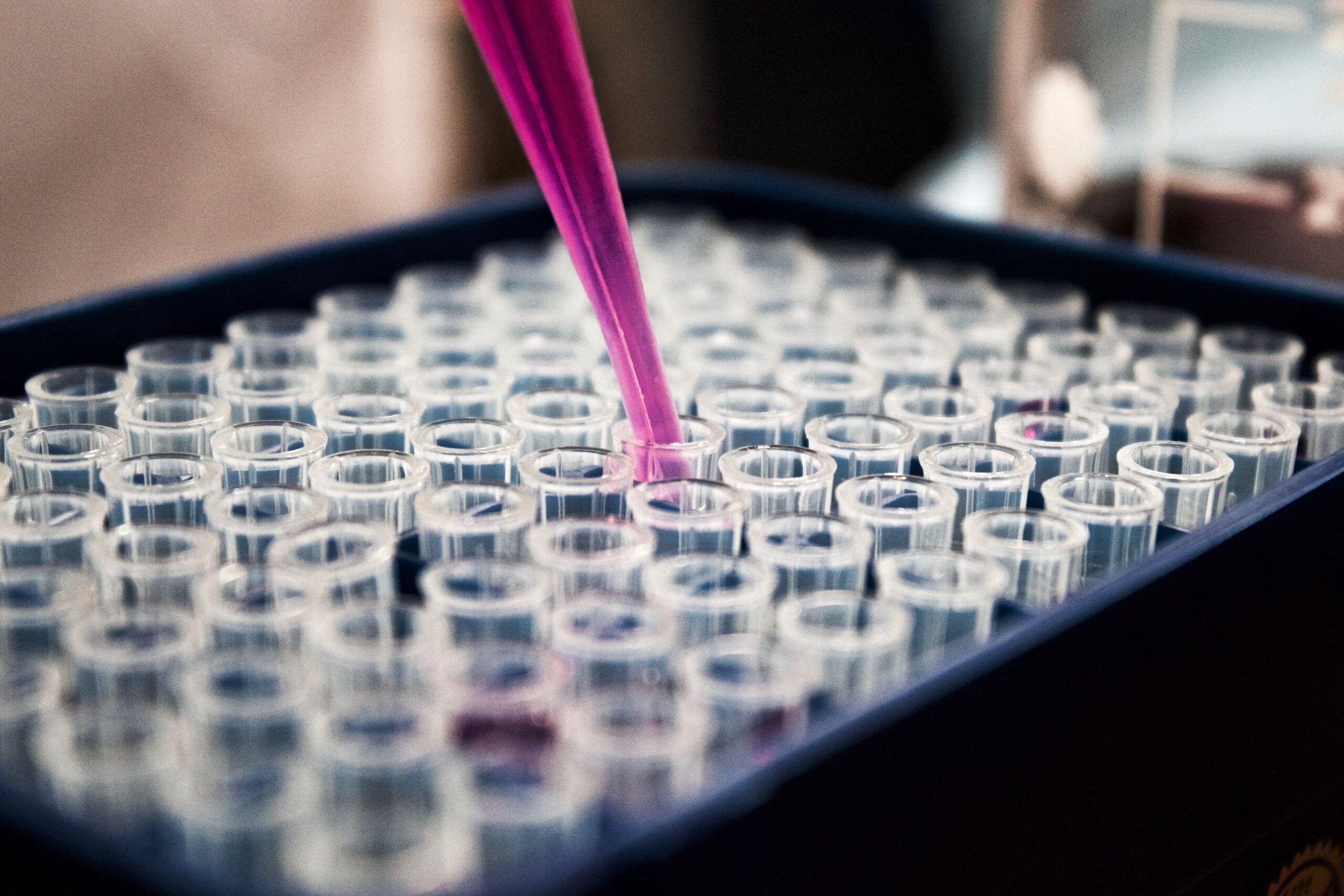A pipette dispenses pink liquid into one of many clear, plastic test tubes arranged in rows, suggesting a laboratory experiment or scientific research setting.