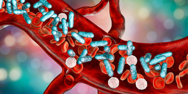 Illustration of red and white blood cells with blue bacteria inside a blood vessel, representing a bloodstream infection, with a colourful blurred background.
