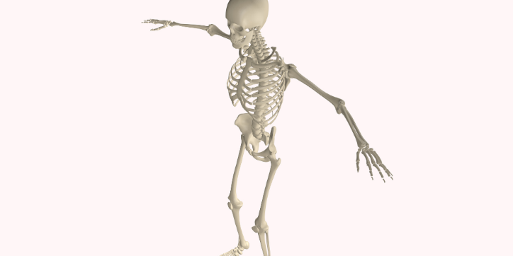 A human skeleton stands with one arm raised and the other extended to the side, appearing to balance or gesture against a plain light background.