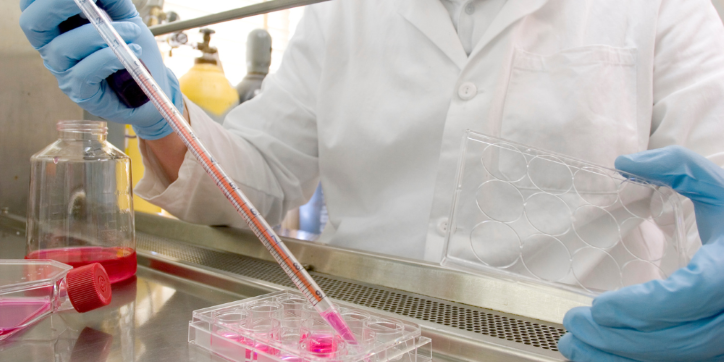 A person in a lab coat and gloves uses a pipette to transfer pink liquid into a multi-well plate inside a laboratory setting.