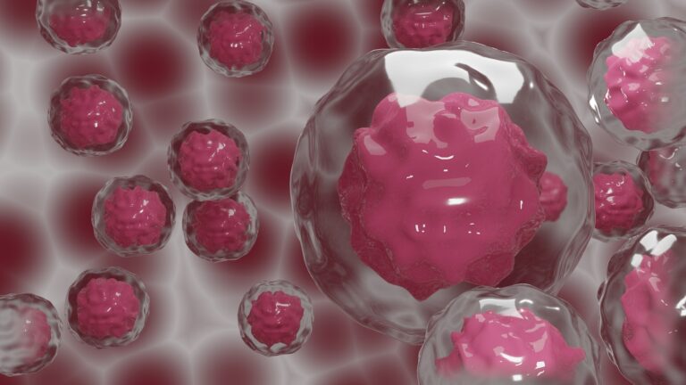 A 3D illustration of multiple pink cells with clear membranes, resembling human or animal cells, viewed under a microscope. The background is composed of similar cells out of focus.