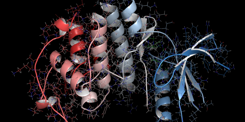 A 3D molecular model of a protein structure with helical and ribbon elements in shades of red, white, and blue, set against a black background, showing detailed atomic connections and bonds.