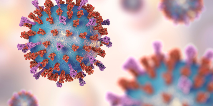 3D illustration of spherical viruses with blue surfaces and red and purple spike proteins, set against a blurred light background.
